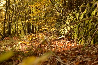Casa de vacaciones en saint jean chambre (Ard�che)Casa de vacaciones