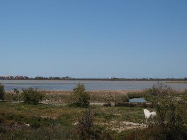 Casa de vacaciones en Les Saintes Maries de la Mer (Bouches-du-Rh�ne)Casa de vacaciones
