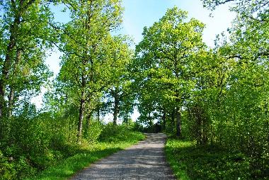 Villa en Anderstorp (Smaland)Casa de vacaciones