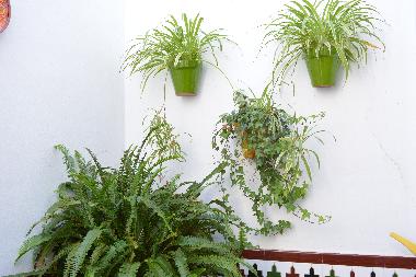 Apartamento El Patio