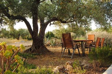 Apartamento de vacaciones en L'Ampolla (Tarragona)Casa de vacaciones