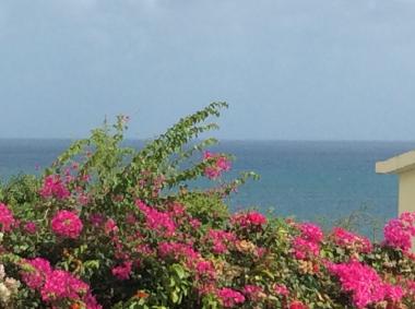 Apartamento de vacaciones en Sainte Luce  (Martinique)Casa de vacaciones