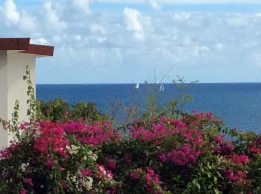 Apartamento de vacaciones en Sainte Luce  (Martinique)Casa de vacaciones