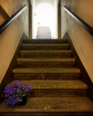 Apartamento de vacaciones en Rosignano Marittimo (Livorno)Casa de vacaciones