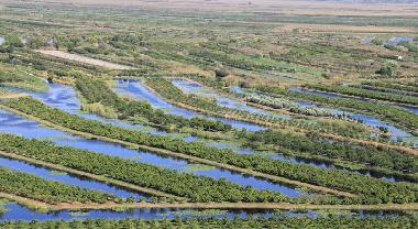 Casa de vacaciones en mihalj (Dubrovacko-Neretvanska)Casa de vacaciones