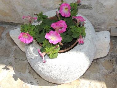 Casa de vacaciones en Racisce (Dubrovacko-Neretvanska)Casa de vacaciones