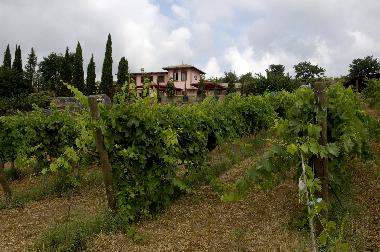 Apartamento de vacaciones en cerveteri (Roma)Casa de vacaciones