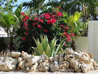 Casa de vacaciones en Grote Berg (Curacao)Casa de vacaciones