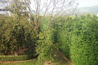 Apartamento de vacaciones en Kalamata (Messinia)Casa de vacaciones