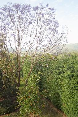 Apartamento de vacaciones en Kalamata (Messinia)Casa de vacaciones