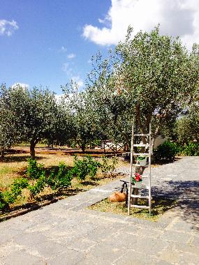 Apartamento de vacaciones en Scordia (Catania)Casa de vacaciones