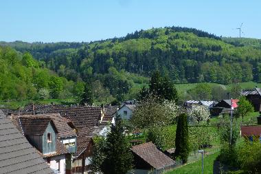 Apartamento de vacaciones en Lahr -Sulz (Schwarzwald)Casa de vacaciones