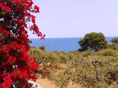 Casa de vacaciones en Cefalu (Palermo)Casa de vacaciones