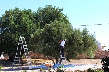 Villa en Douar Masassa (Essaouira)Casa de vacaciones