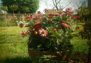 Apartamento de vacaciones en Rovinj (Istarska)Casa de vacaciones