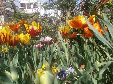 Apartamento de vacaciones en Rovinj (Istarska)Casa de vacaciones