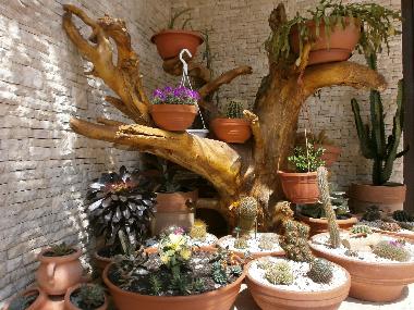 Apartamento de vacaciones en Rovinj (Istarska)Casa de vacaciones