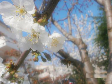 Apartamento de vacaciones en Rovinj (Istarska)Casa de vacaciones