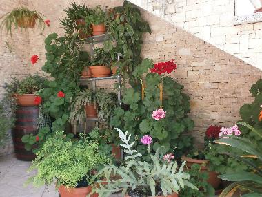 Apartamento de vacaciones en Rovinj (Istarska)Casa de vacaciones