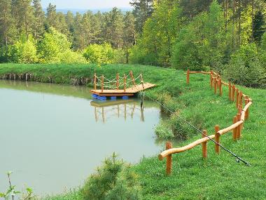 Casa de vacaciones en Skop�w  51 (Podkarpackie)Casa de vacaciones