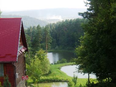 Casa de vacaciones en Skop�w  51 (Podkarpackie)Casa de vacaciones