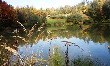 Casa de vacaciones en Skop�w  51 (Podkarpackie)Casa de vacaciones