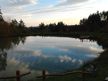 Casa de vacaciones en Skop�w  51 (Podkarpackie)Casa de vacaciones