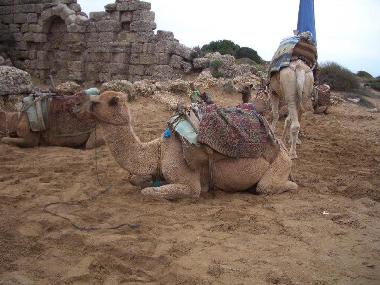 Casa de vacaciones en Near Antalya Side Manavgat Alanya (Antalya)Casa de vacaciones