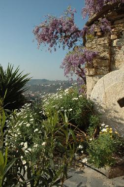 Apartamento de vacaciones en Imperia (Imperia)Casa de vacaciones