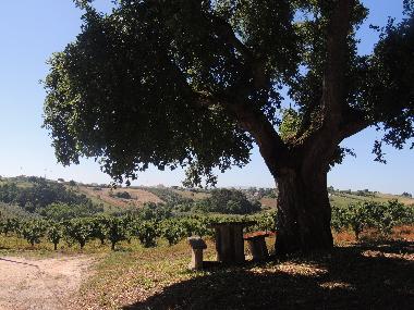 Casa de vacaciones en B&B da Mata  (Oeste)Casa de vacaciones