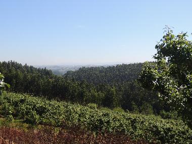 Casa de vacaciones en B&B da Mata  (Oeste)Casa de vacaciones