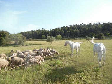 Chalet en AUPS (Var)Casa de vacaciones