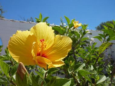 Casa de vacaciones en Chiclana de la Frontera (Cdiz)Casa de vacaciones