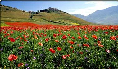 Apartamento de vacaciones en Norcia (Perugia)Casa de vacaciones