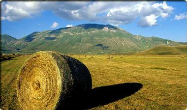 Apartamento de vacaciones en Norcia (Perugia)Casa de vacaciones