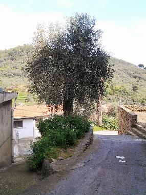 Apartamento de vacaciones en MOLTEDO (Imperia)Casa de vacaciones