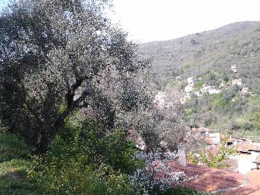 Apartamento de vacaciones en MOLTEDO (Imperia)Casa de vacaciones