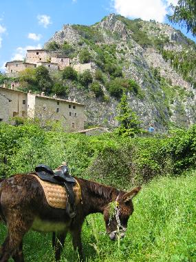 Casa de vacaciones en Norcia (Perugia)Casa de vacaciones