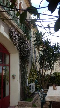 Apartamento de vacaciones en Castelnau de Guers (Hrault)Casa de vacaciones