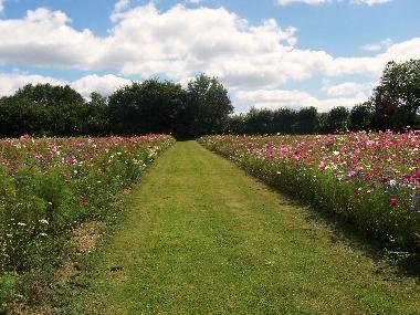 Casa de vacaciones en pouligny notre dame (Centro)Casa de vacaciones