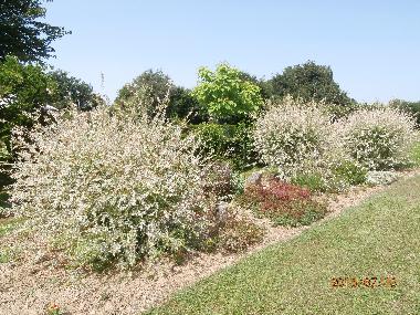 Casa de vacaciones en pouligny notre dame (Centro)Casa de vacaciones