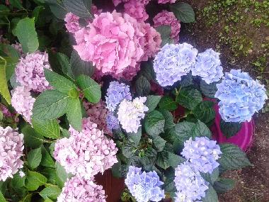 Apartamento de vacaciones en Peschiera del Garda (Verona)Casa de vacaciones