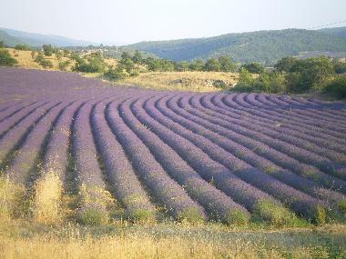Casa de vacaciones en L