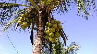 Casa de vacaciones en Barra do gil (Bahia)Casa de vacaciones