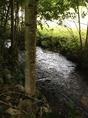 Chalet en le val d ajol (Vosges)Casa de vacaciones
