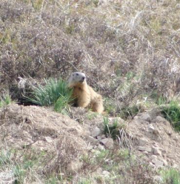 Apartamento de vacaciones en LA SALLE LES ALPES (Hautes-Alpes)Casa de vacaciones