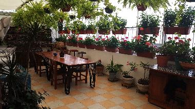 Apartamento de vacaciones en Roma Norte (Distrito Federal)Casa de vacaciones