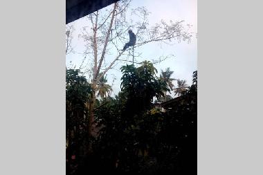 Casa de vacaciones en Panadura (Colombo)Casa de vacaciones