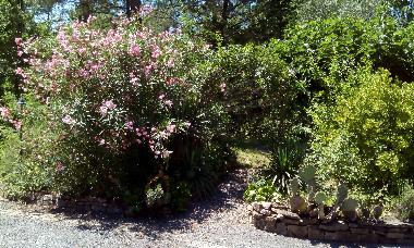 Villa en Moli�res sur C�ze (Gard)Casa de vacaciones