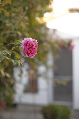 Apartamento de vacaciones en Timisoara (Timis)Casa de vacaciones